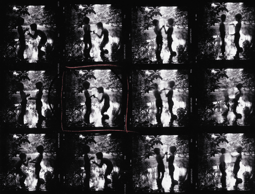 Fireflies Contact Sheet 