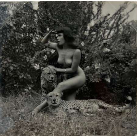 Bettie Page with Cheetahs, 1954