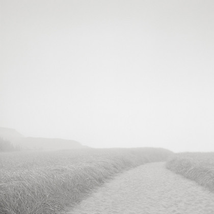 Beach Path, Chilmark, Massachusetts