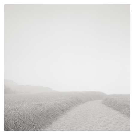 Beach Path, Chilmark, Massachusetts 