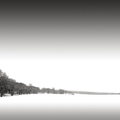 Fresh Snow, Chilmark, Massachusetts