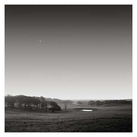 New Moon, Chilmark, Massachusetts