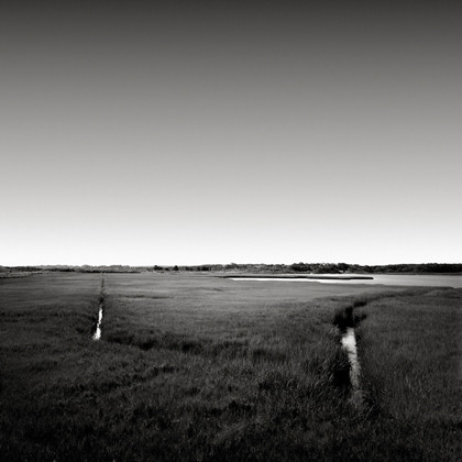 Salt Marsh, Oak Bluffs, Massachusetts