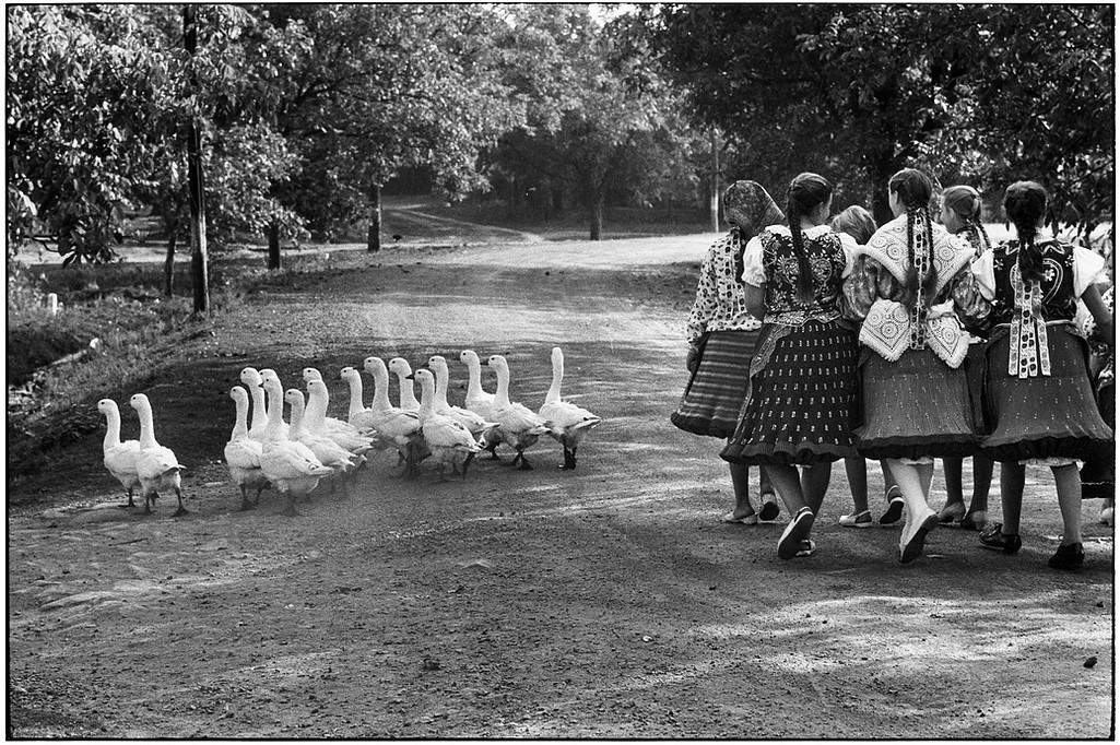 Hungary, 1964