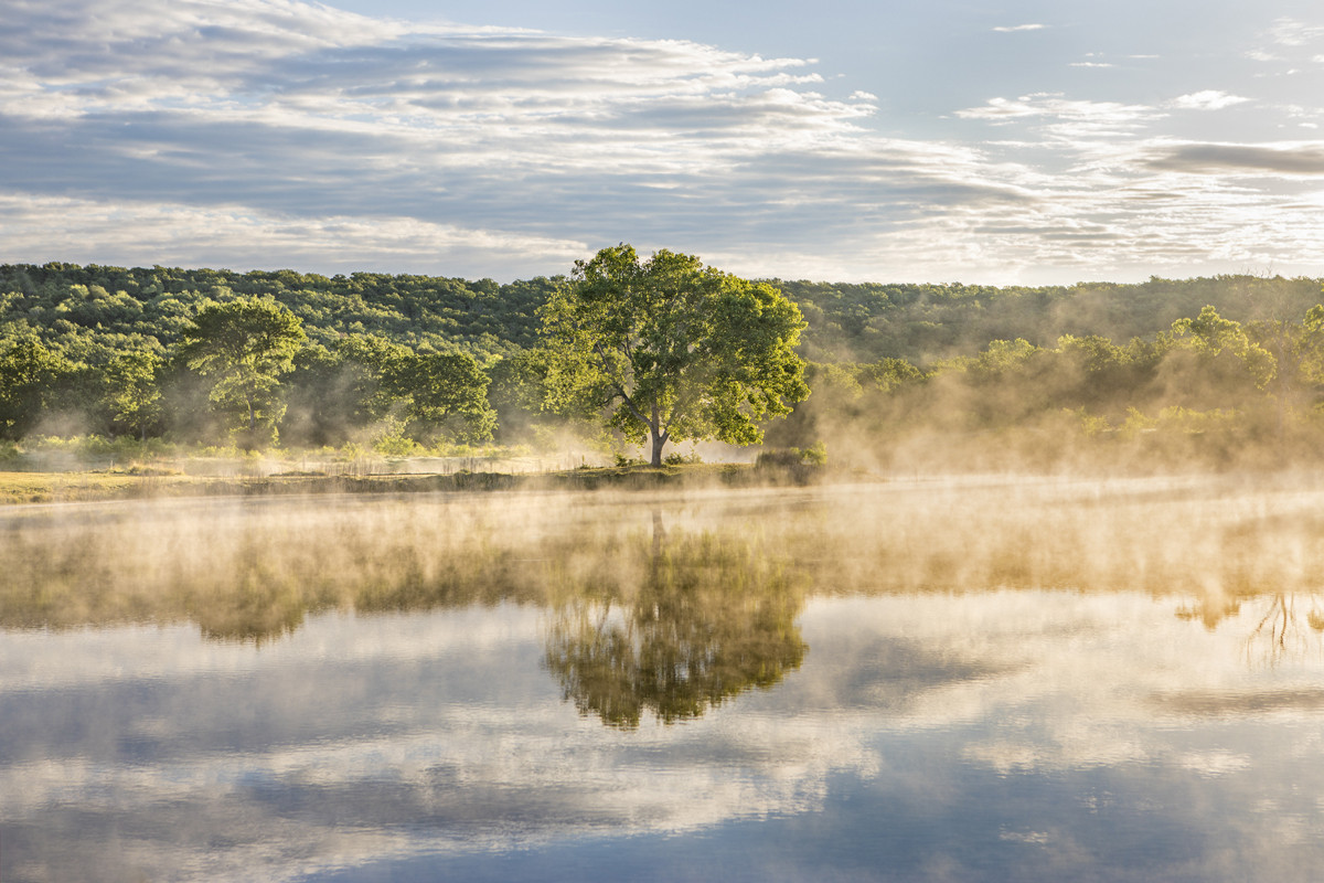 Lake Fog