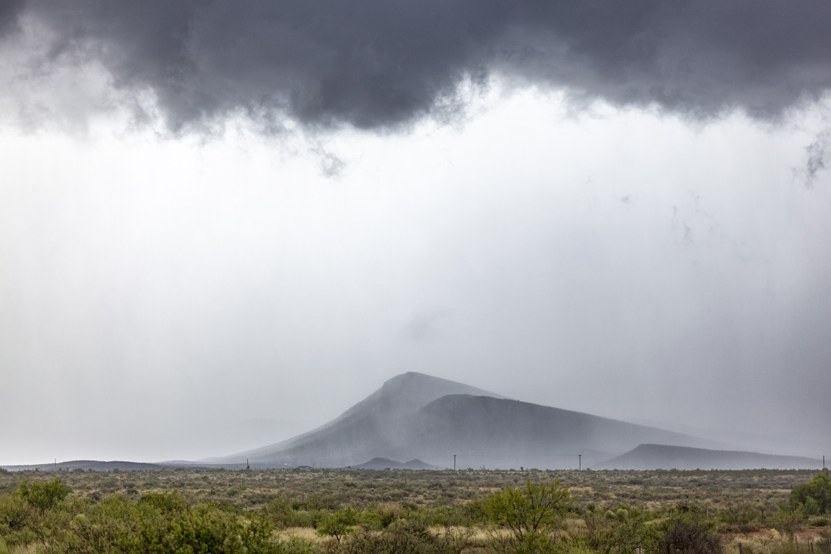 Mountain Mist