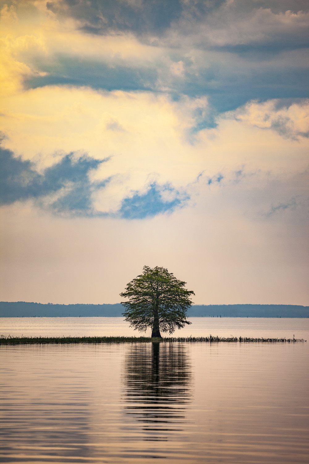 Toledo Bend