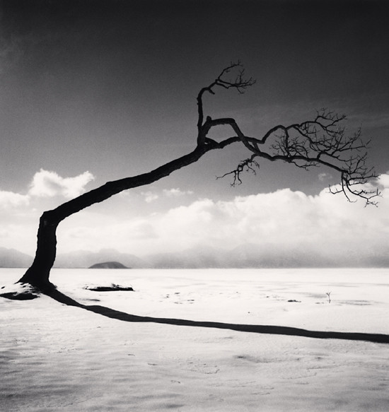 Kussharo Lake Tree, Study 10, Kotan, Hokkaido