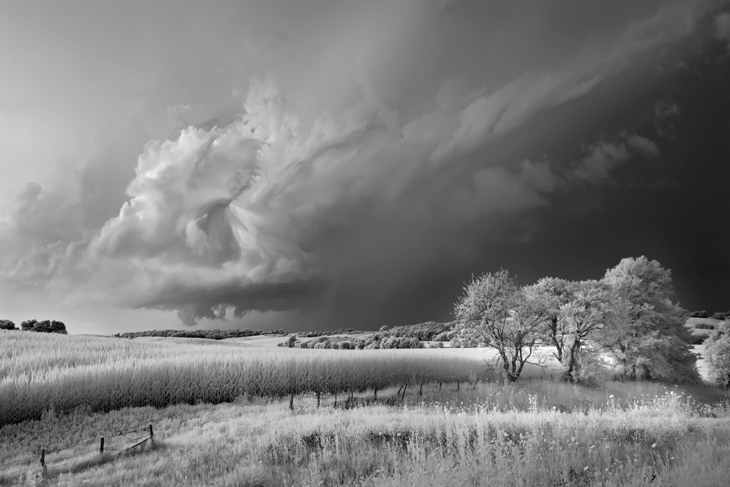 Storm, Field and Trees