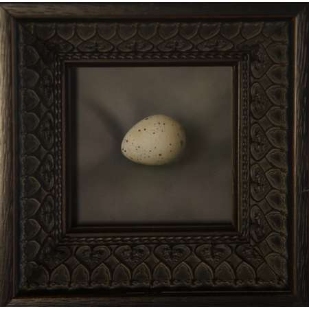 quail egg 21