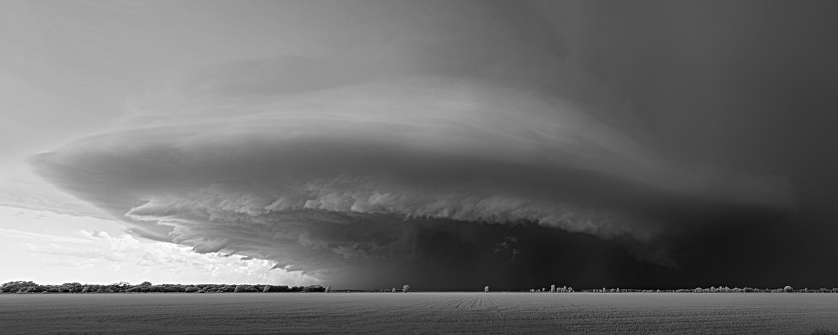 Saucer over Grasslands