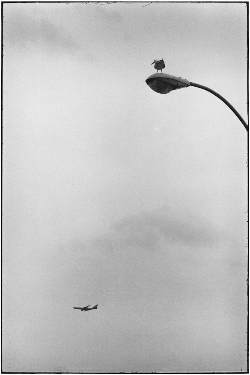 Coney Island, New York, 1975