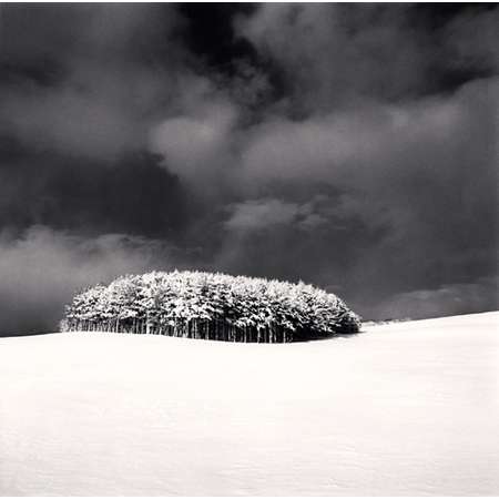 White Copse, Study 3, Wakkanai, Hokkaido, Japan