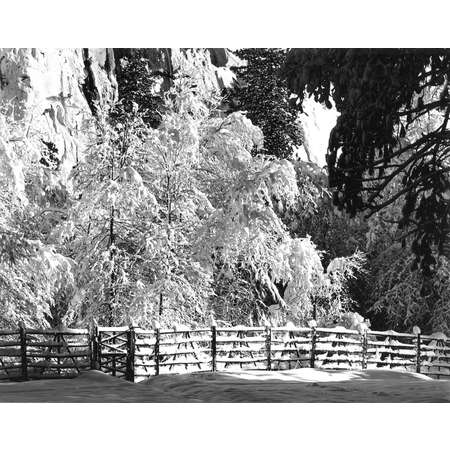 Ansel Adams Christmas Card