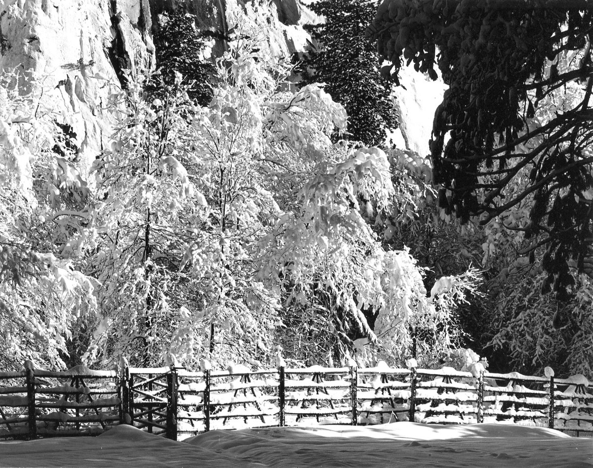 Ansel Adams Christmas Card