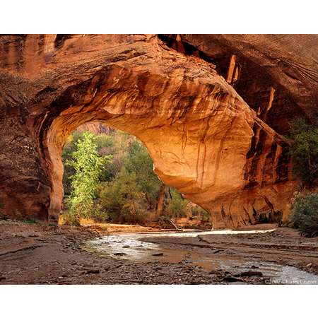 Coyote Natural Bridge, Utah