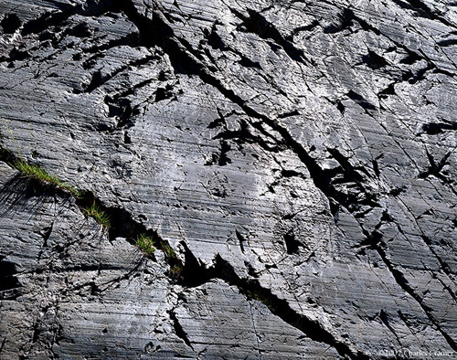 Granite Wall and Grasses, Ediza Lake