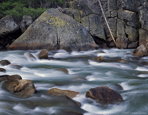 Tuolumne River, Fallen Tree, Yosemite