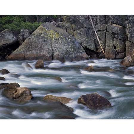 Tuolumne River, Fallen Tree, Yosemite