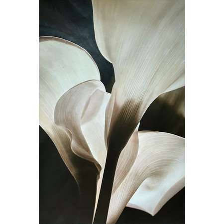 Callas III