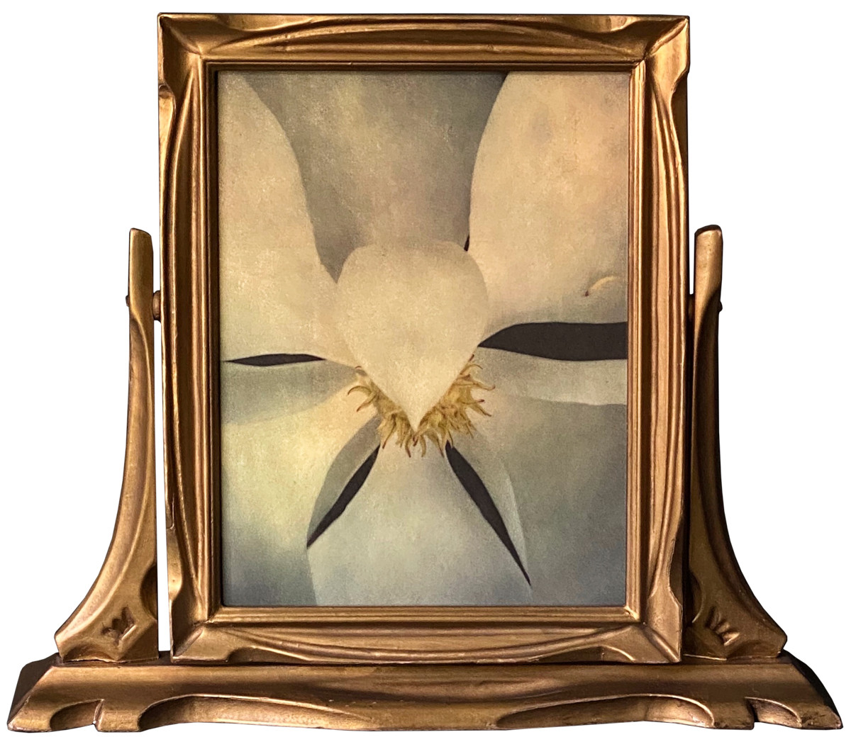 Texas Magnolia Framed