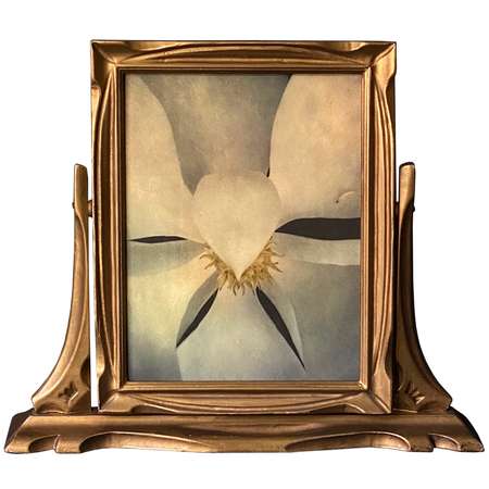 Texas Magnolia Framed