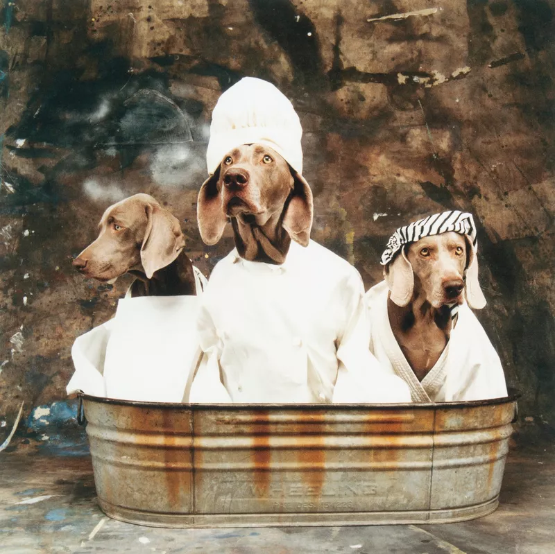 William Wegman - Rub a Dub Dub, From the Nursery Rhyme Portfolio