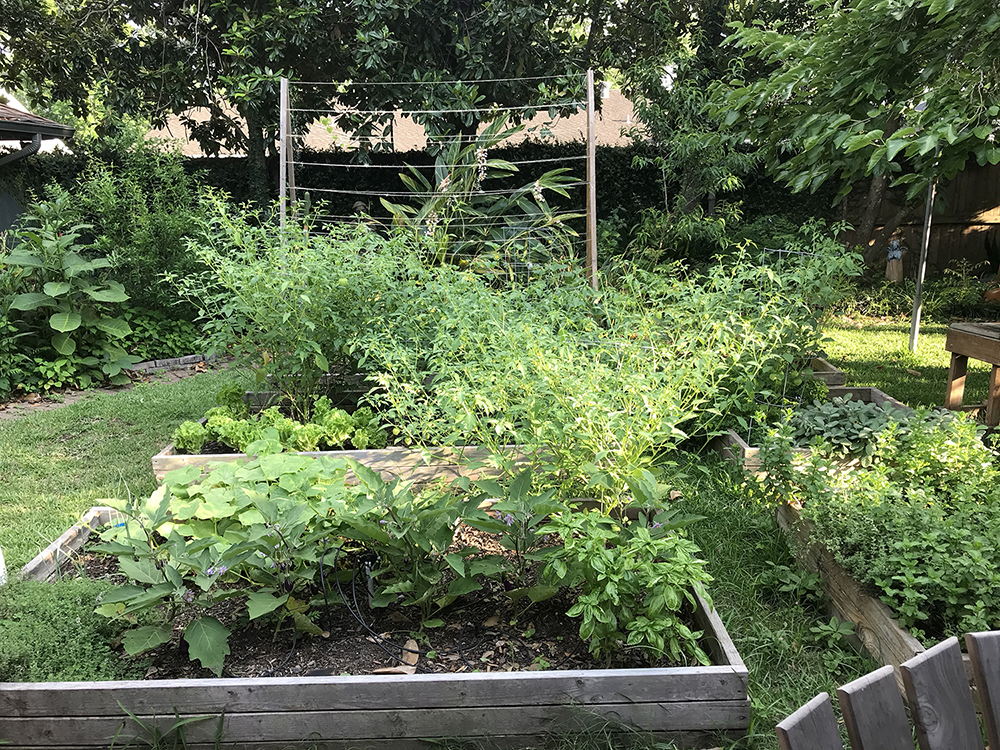 Houston Backyard Farm