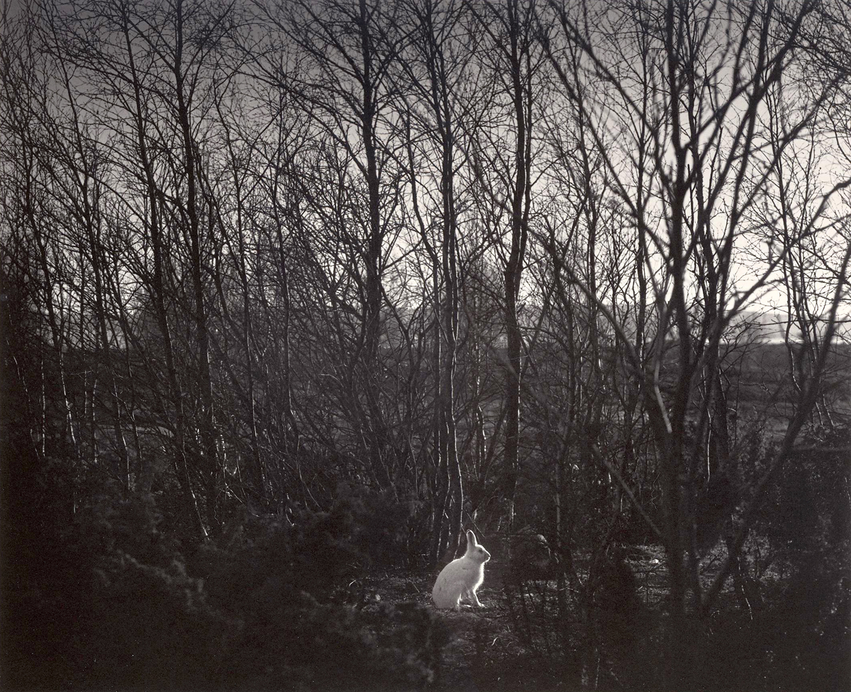 Pentti Sammallahti, Signilskar, Finland, 1974