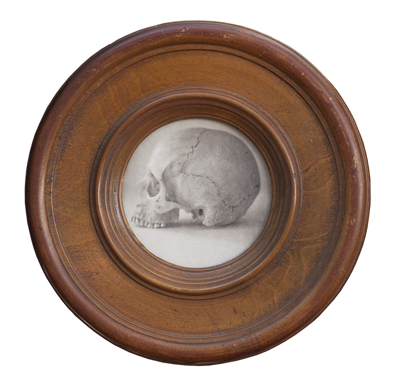 Catherine Couturier Jefferson Hayman Skull Still Life