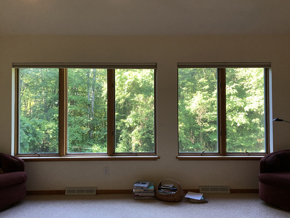 Bedroom Windows