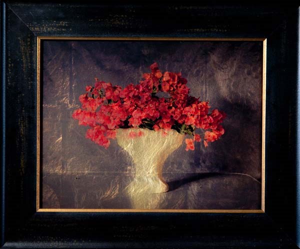 Kate Breakey, Vase with Bougainvillea