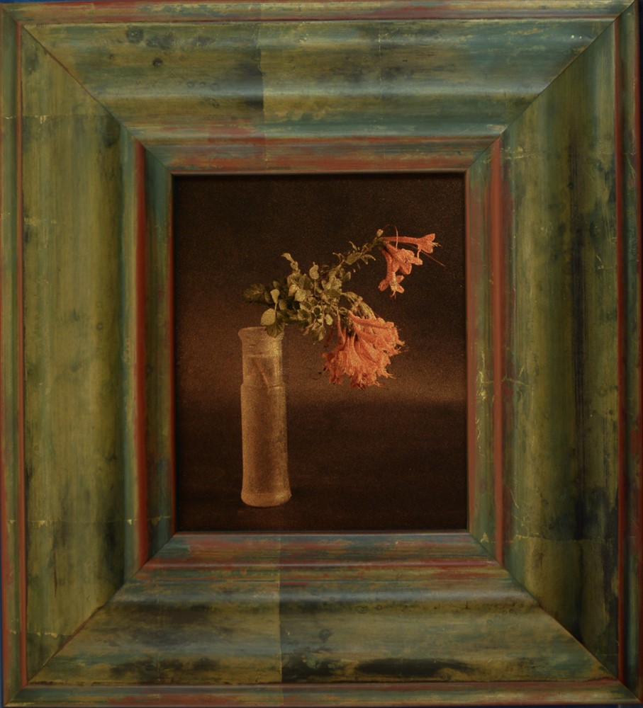 Kate Breakey, Virginia Creeper in Jar