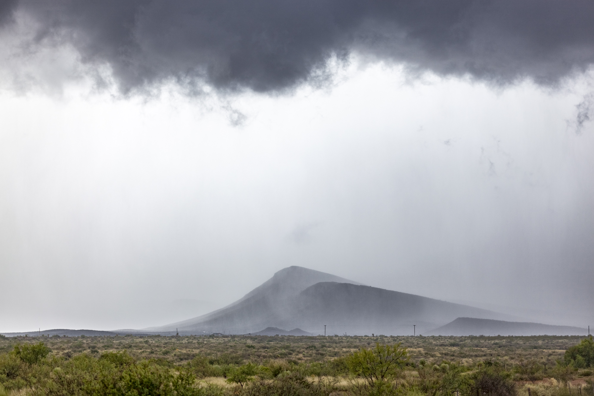 Kenny Braun, Mountain Mist, 2014, Catherine Couturier Gallery