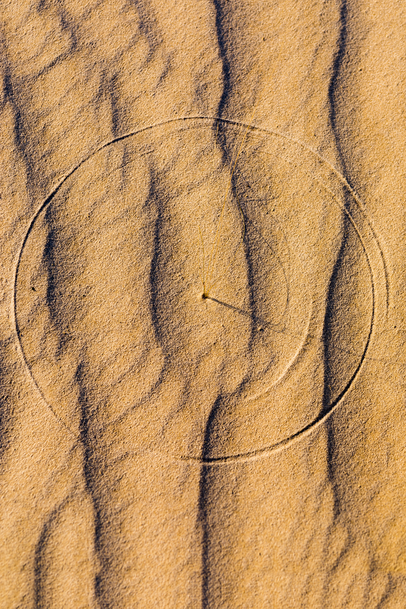 Kenny Braun, Scratch Circle, 2017, Catherine Couturier Gallery