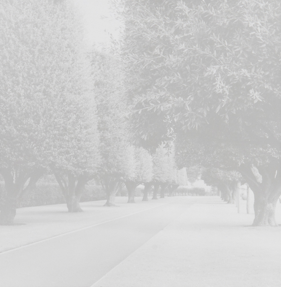  Libbie Masterson American Cemetery, 2010/2015