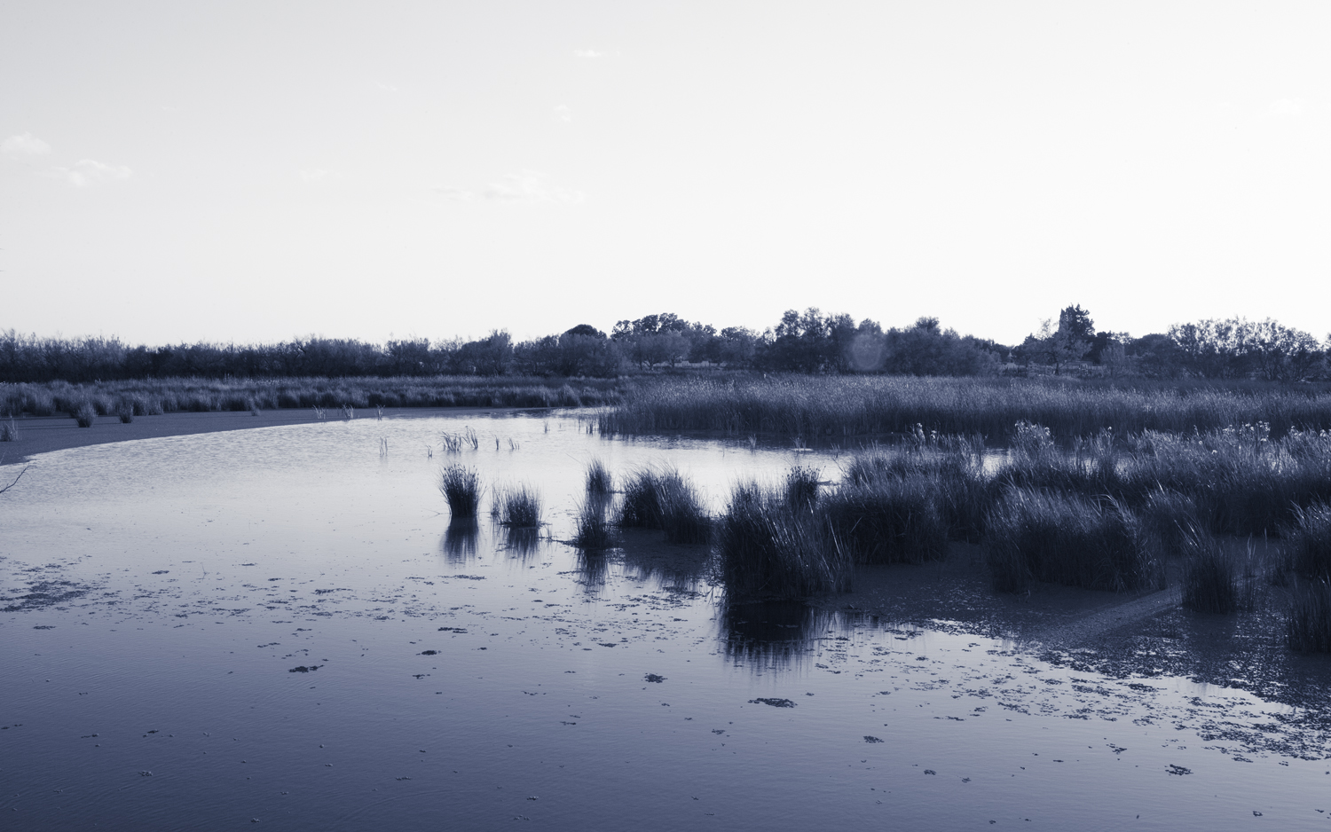 Libbie J. Masterson Water's Edge (Mizugiwa) Camargue