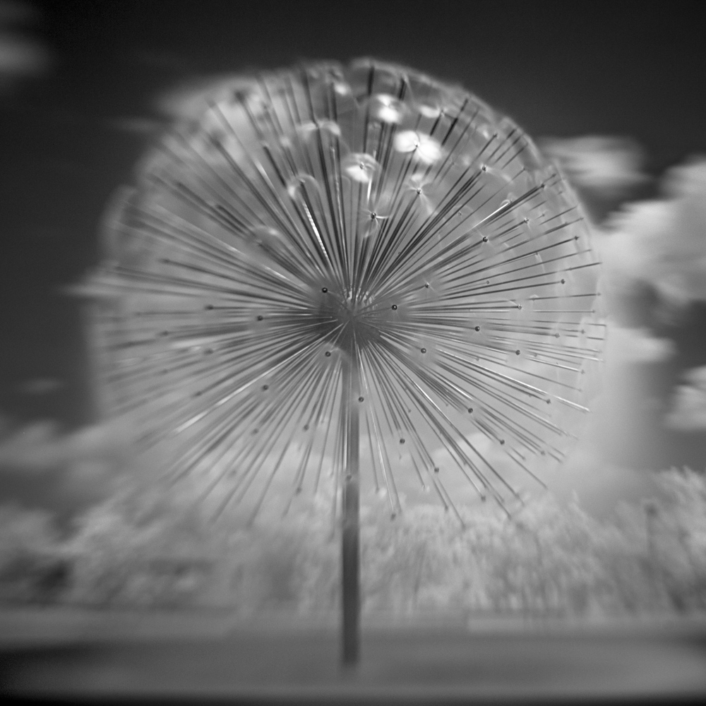 Mabry_Campbell_Genesis X - Gus Wortham Memorial Fountain_Houston, Texas, 2015