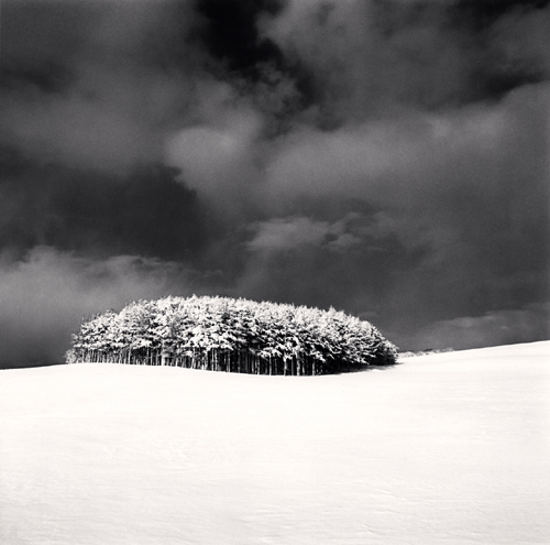 Michael Kenna White Copse