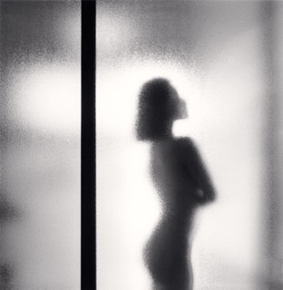 Michael Kenna, Kiko, Study 2. 2010, Catherine Couturier Gallery