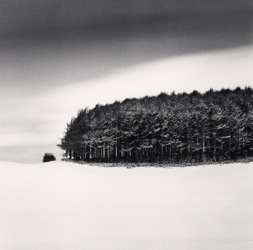 White Copse, Study 4, Wakkanai, Hokkaido, Japan, Michael Kenna, Catherine Couturier Gallery