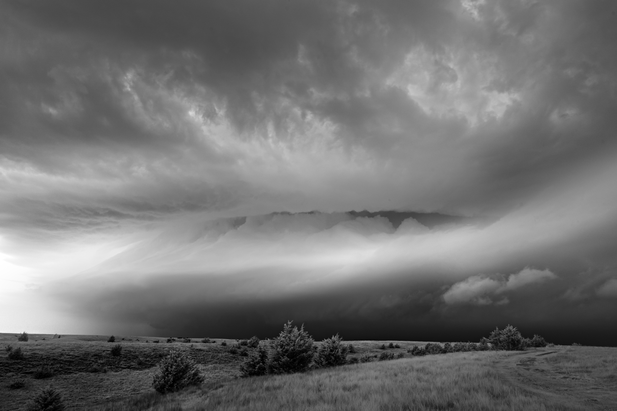 Mitch Dobrowner Cloud with Wings