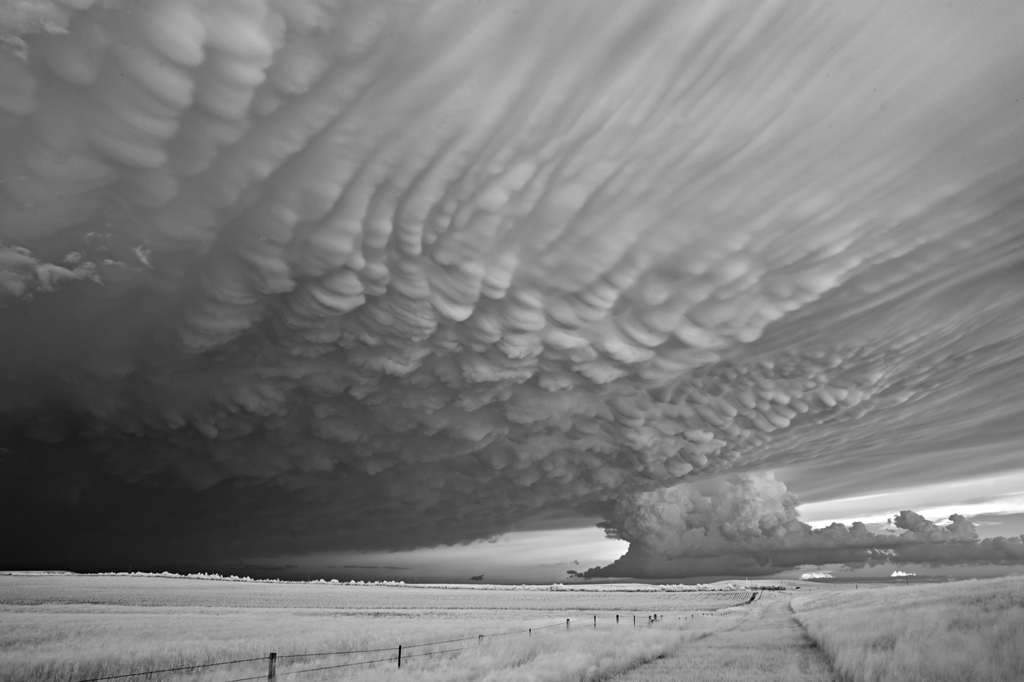 Mitch Dobrowner, Mammatus