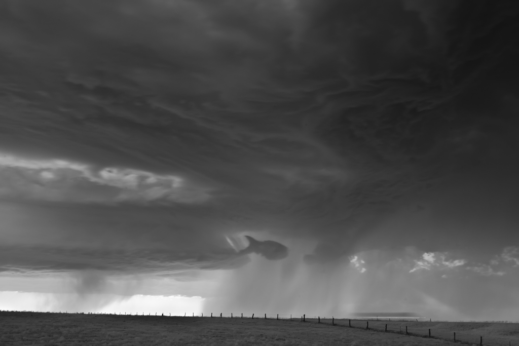 Mitch Dobrowner Fish and Fence Norton Kansas 2014