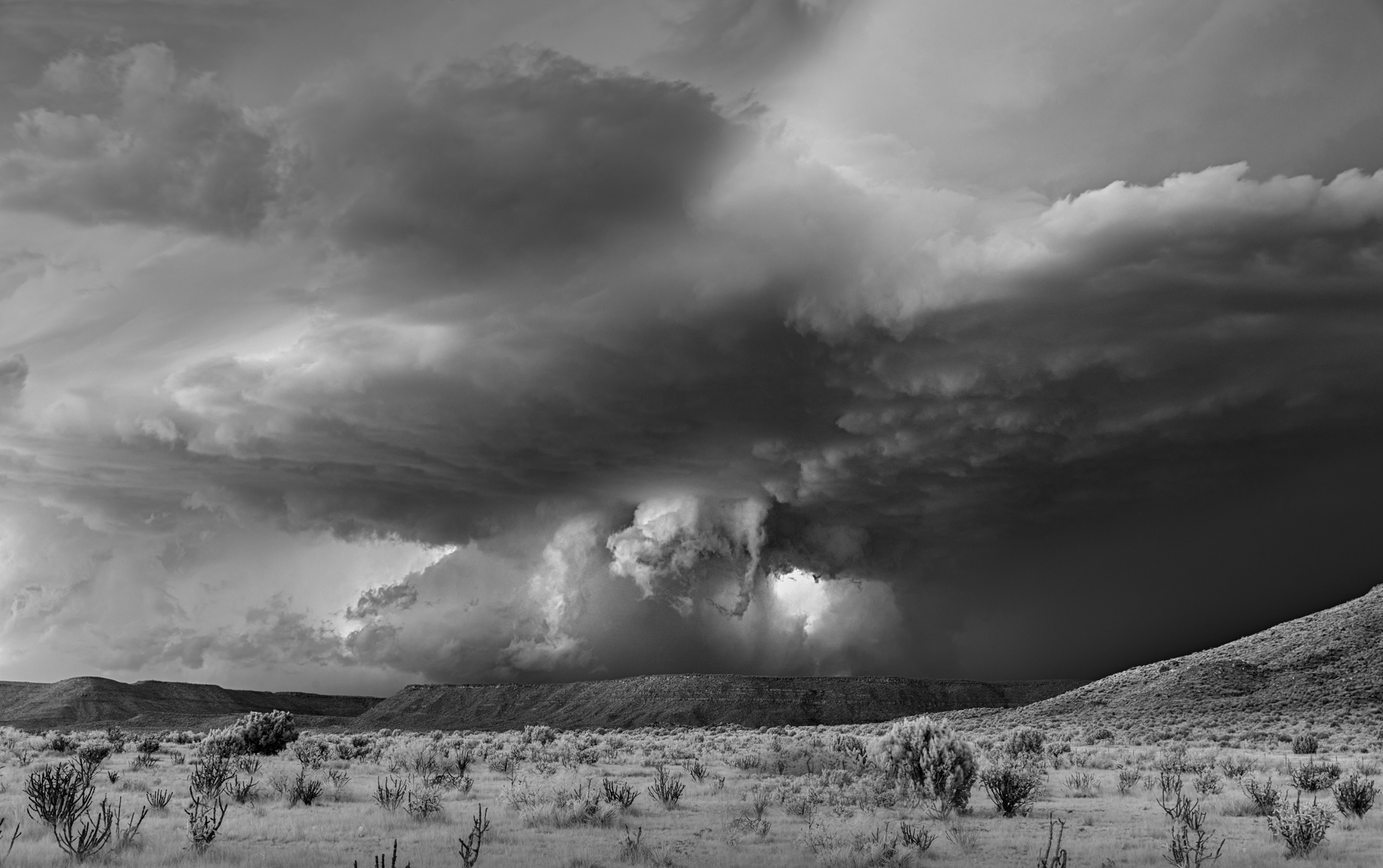 Volucris in High Desert Mitch Dobrowner