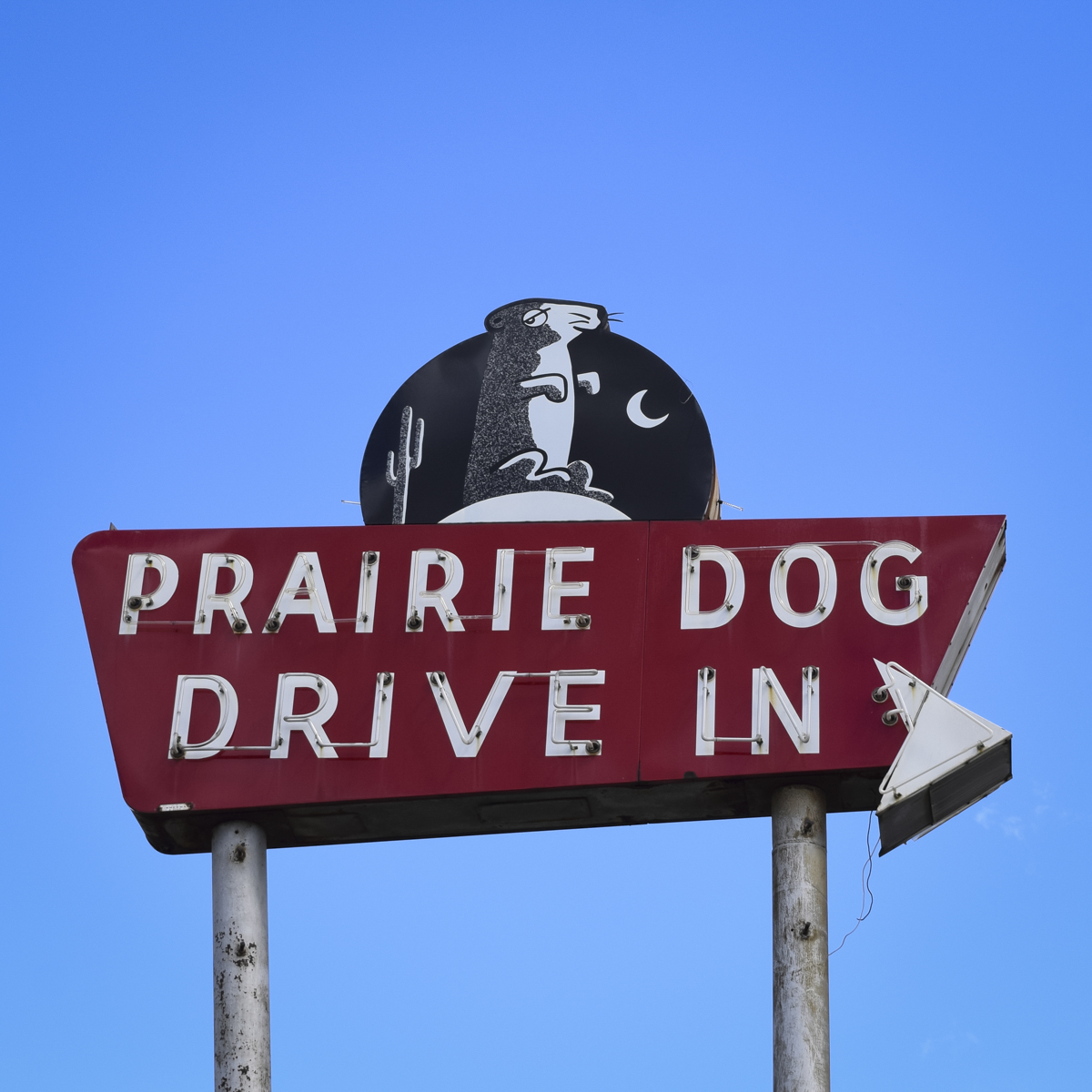 Molly_Block_Grand_Prairie_Dog_Drive_In_2018