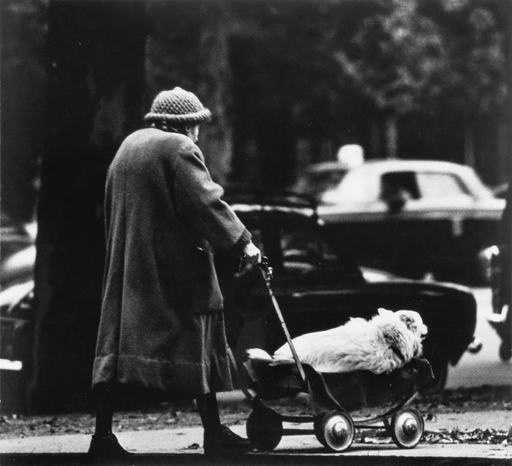 Andre Kertesz, Champs Elysees